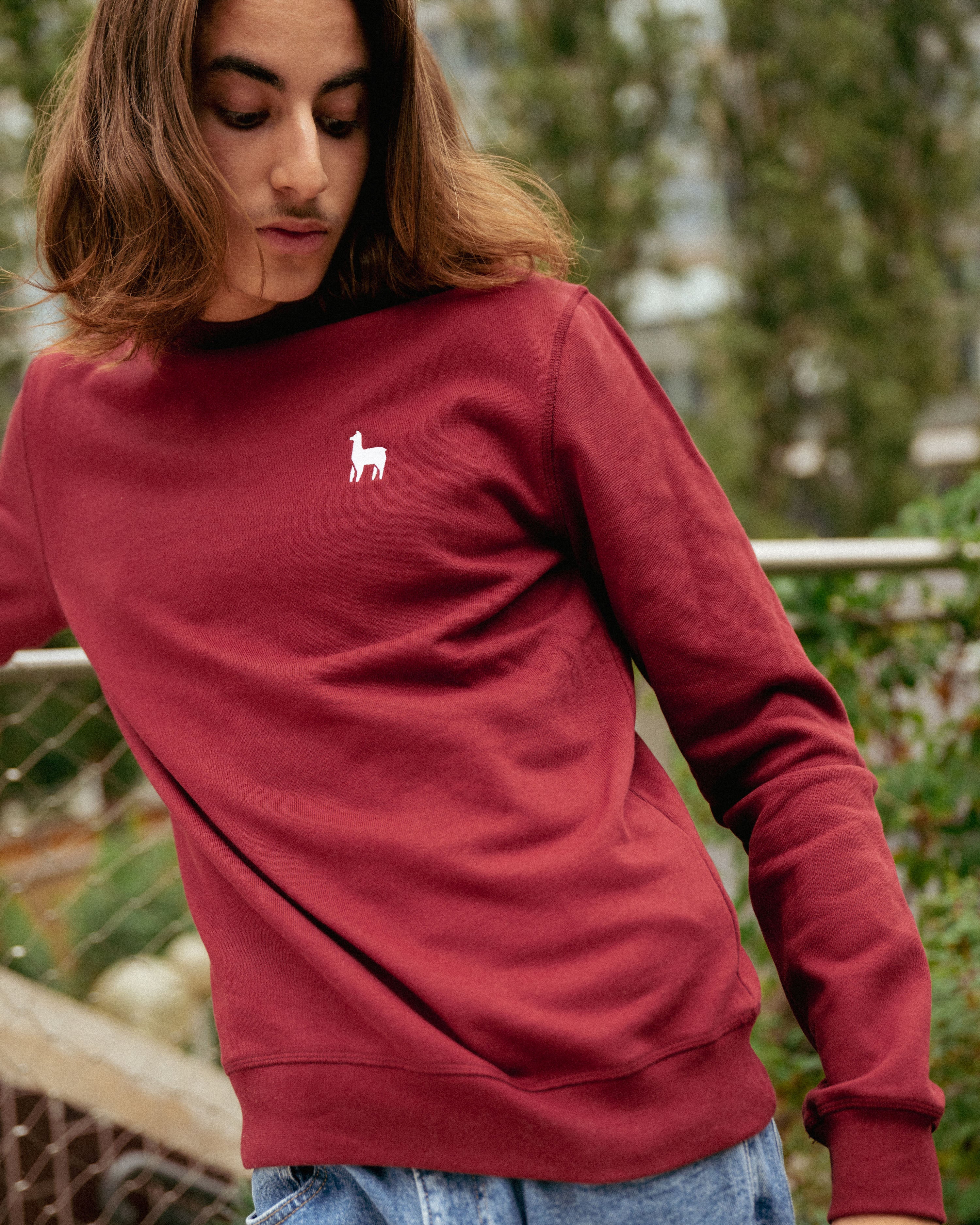Sweatshirt Alpaga Rouge Bordeaux - Sweatshirt - Perus